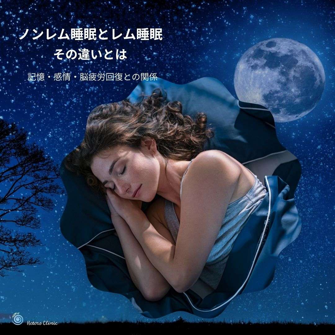 ノンレム睡眠とレム睡眠の違いとは？記憶・感情・脳疲労回復のしくみをやさしく解説